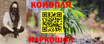 СК Ачхой-Мартан