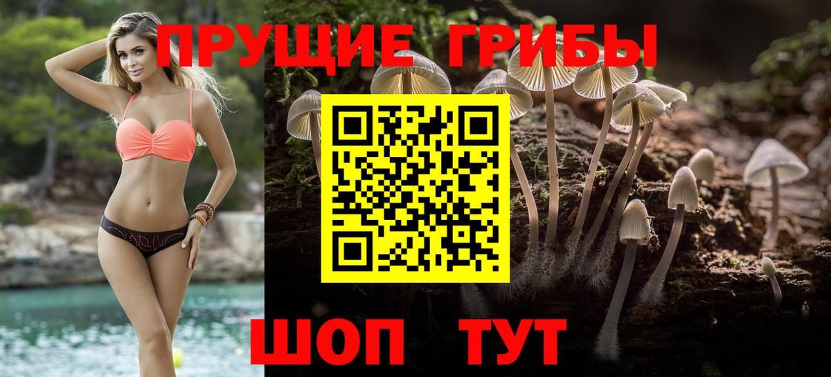 Галлюциногенные грибы Cubensis Елабуга