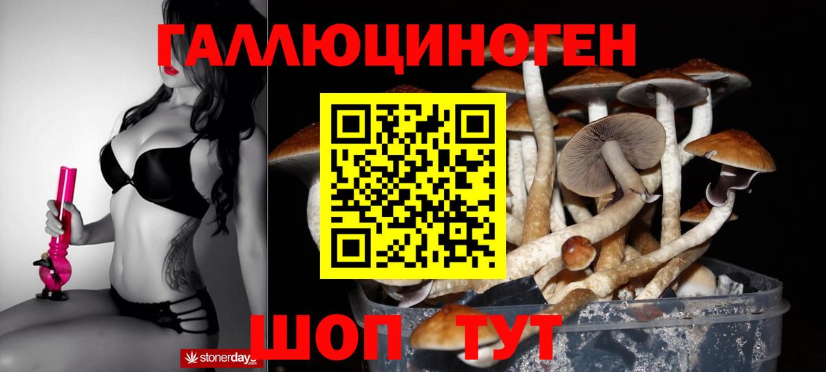Елабуга  купить  сайты  Вход с VPN  Псилоцибиновые грибы MAGIC MUSHROOMS 